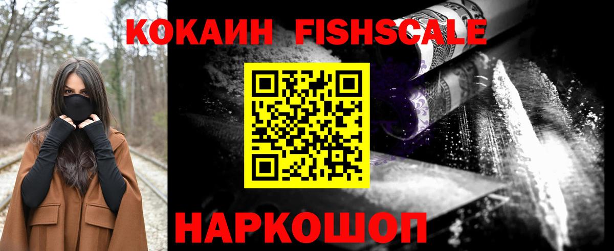 магазин продажи наркотиков  Вход с VPN  Ленинск-Кузнецкий  COCAIN Fish Scale 
