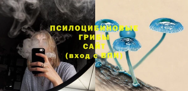 трава Краснотурьинск
