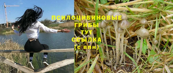 гидра Краснослободск