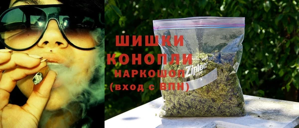 гидра Краснослободск