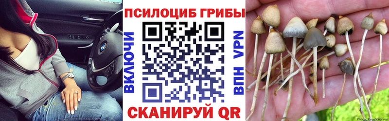 Галлюциногенные грибы Magic Shrooms Ленинск-Кузнецкий