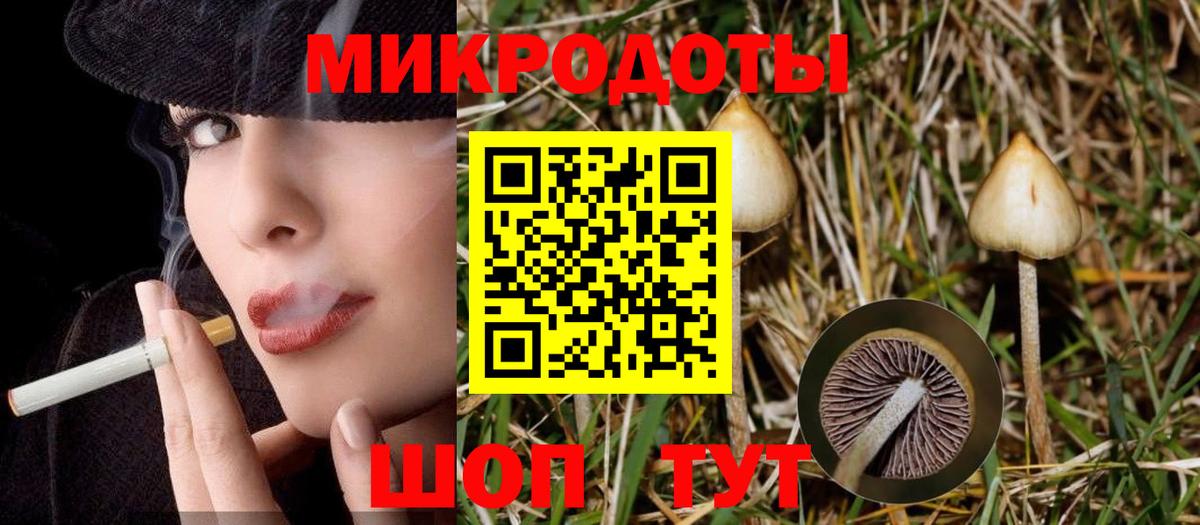 Псилоцибиновые грибы MAGIC MUSHROOMS  магазин  наркотиков  Ленинск-Кузнецкий  Псилоцибиновые грибы Magic Shrooms  Вход с VPN 